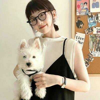月陨回声